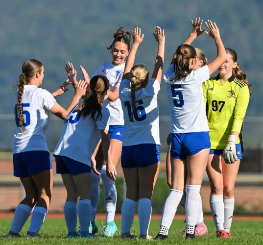 7 Express area soccer teams set for District 6 playoffs